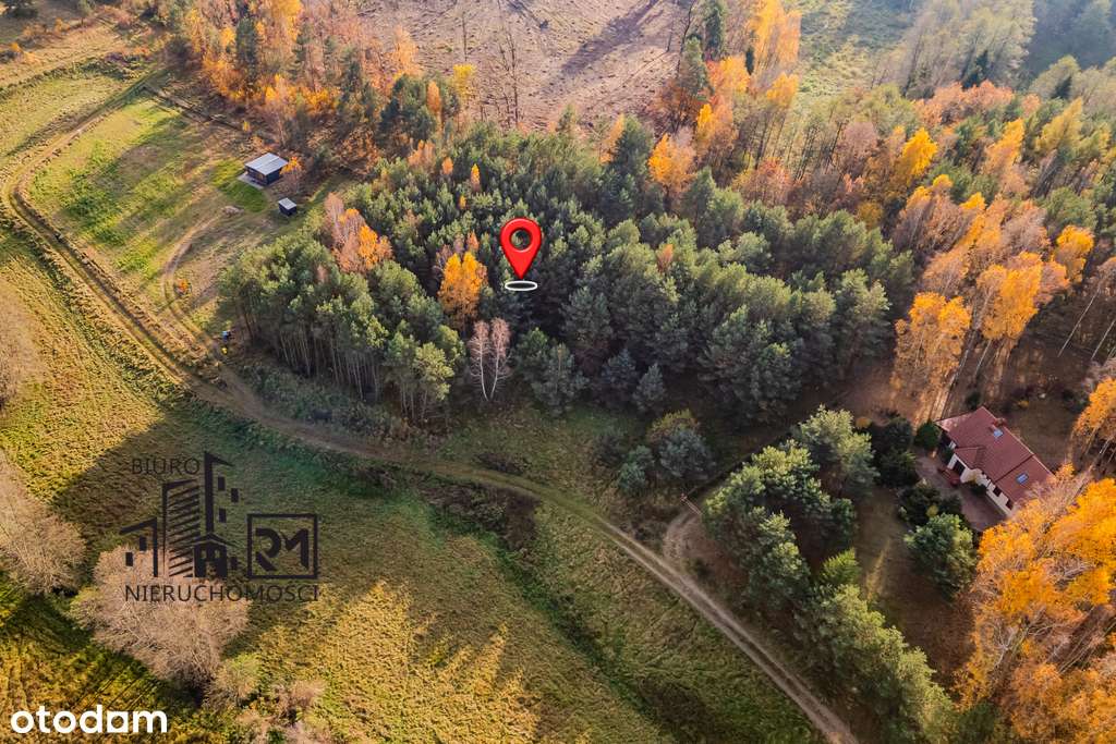 Duża działka rekreacyjna przy Jeziorze Głowińskim-8