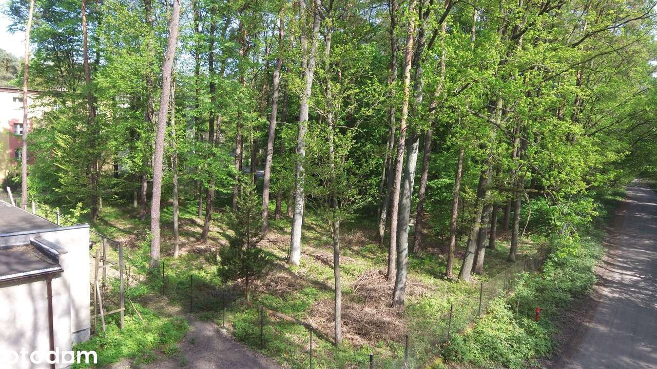 Działka z warunkami zabudowy prawie w Łodzi; media-2