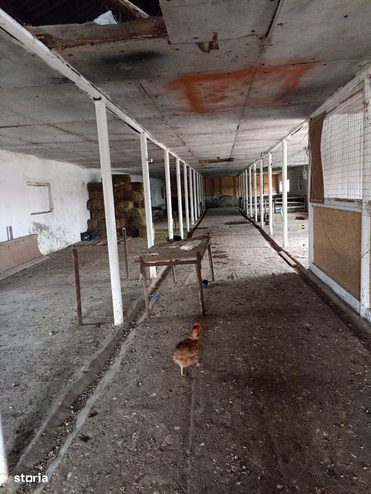 De vanzare hala 480mp comuna Silistea - Imagine principală: 4/9