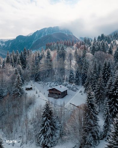 Cabană de vis în inima munților, chiar lângă pârtia de schi din Borșa-0