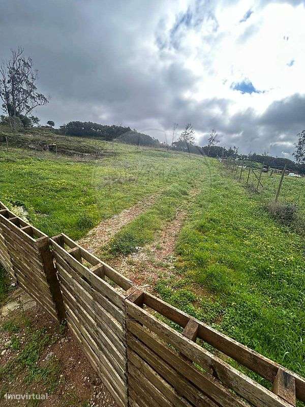 Terreno  para venda - Grande imagem: 2/3