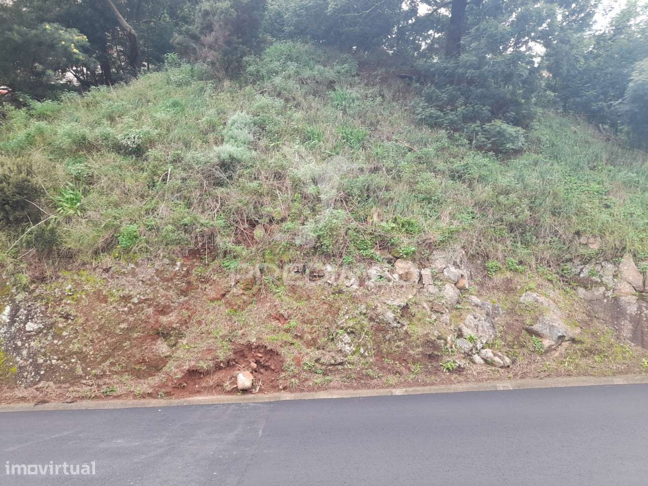 Terreno Rústico em Gaula 1.240 metros - Grande imagem: 4/7