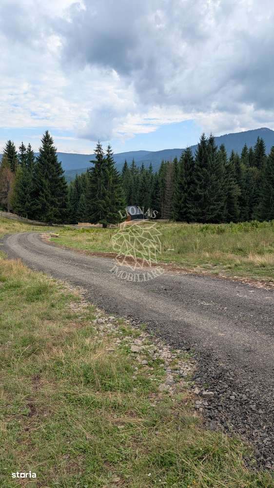 OFERTA! Teren intravilan 700 mp cu utilitati-ideal cabana-Colibita - Imagine principală: 3/4