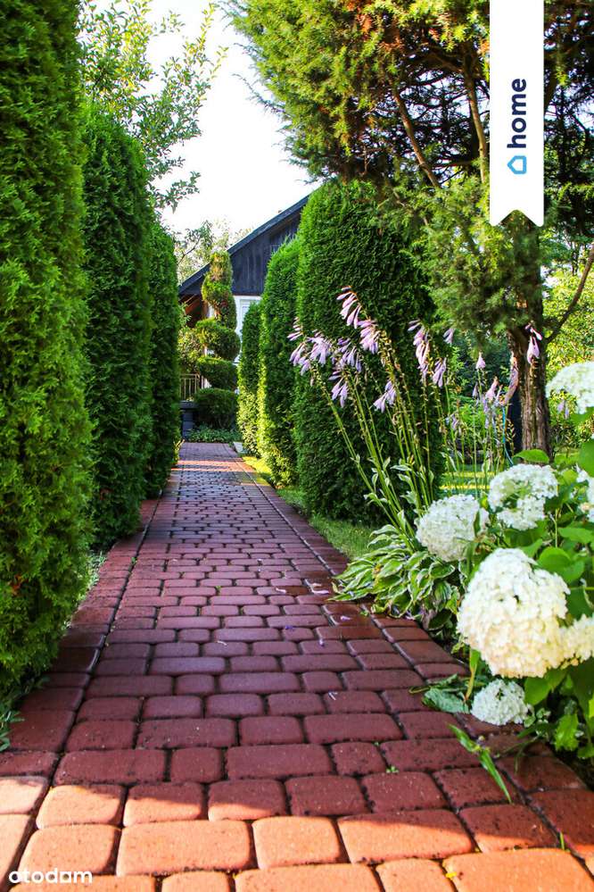 Domek ROD w Bożenkowie - domek 55m2 przy Brdzie! - Pełny obrazek: 5/13