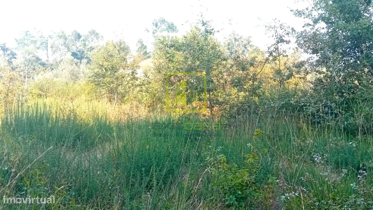 Terreno para Construção - Grande imagem: 4/12