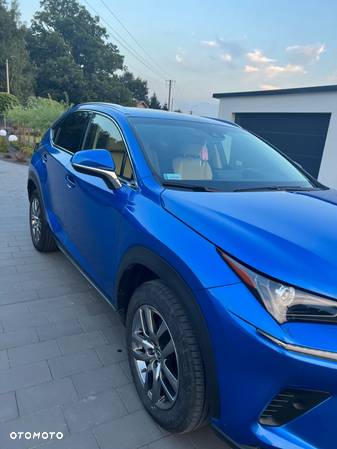 Lexus NX 300 Prestige AWD - 3