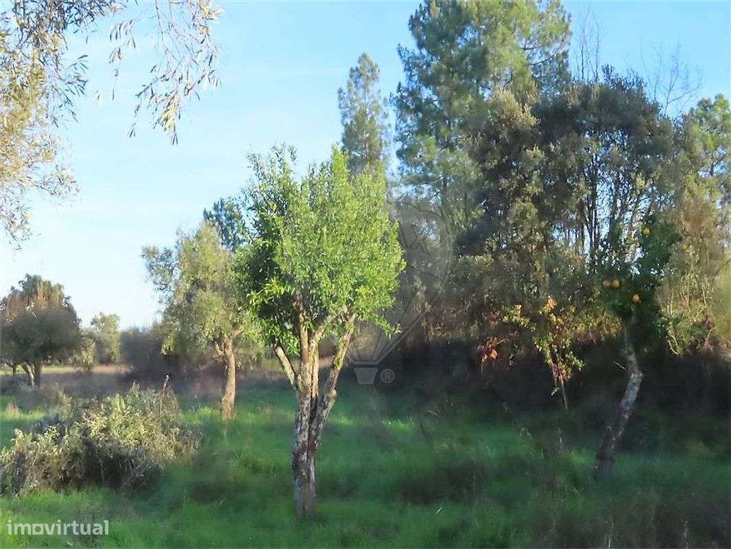 Quinta  para venda - Grande imagem: 3/32