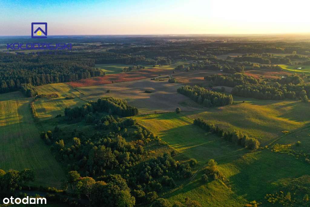 4/14289/OGS - Pełny obrazek: 5/7