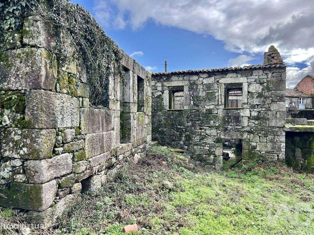 Terreno em Campia - Grande imagem: 4/22