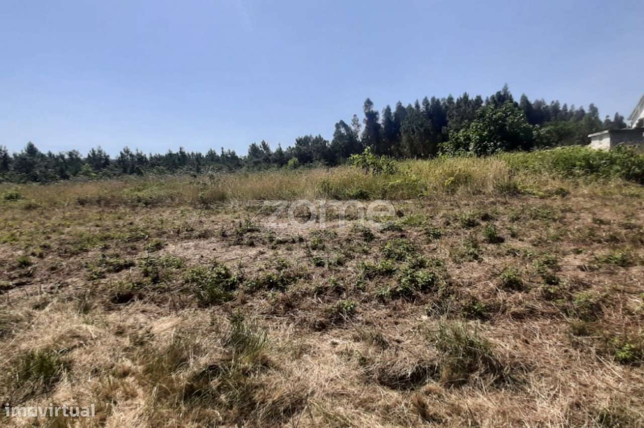 Terreno na Freguesia de Soure - Grande imagem: 3/17