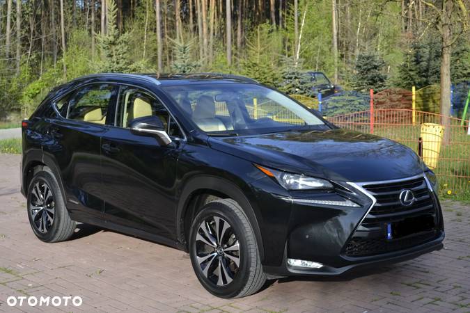 Lexus NX 300h - 6