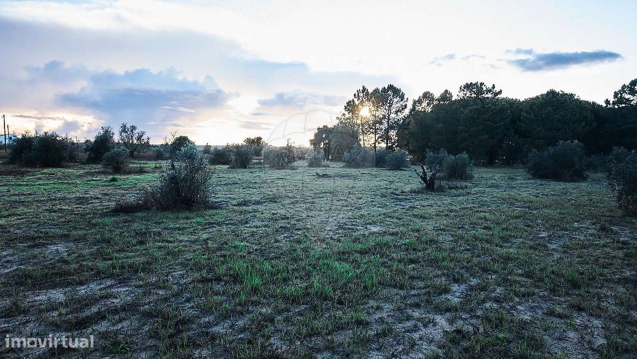 Terreno  para venda-10