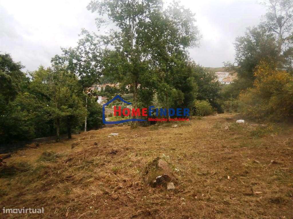 Moradia para Recuperar com Amplo Terreno e Potencial Infinito em Frian-9