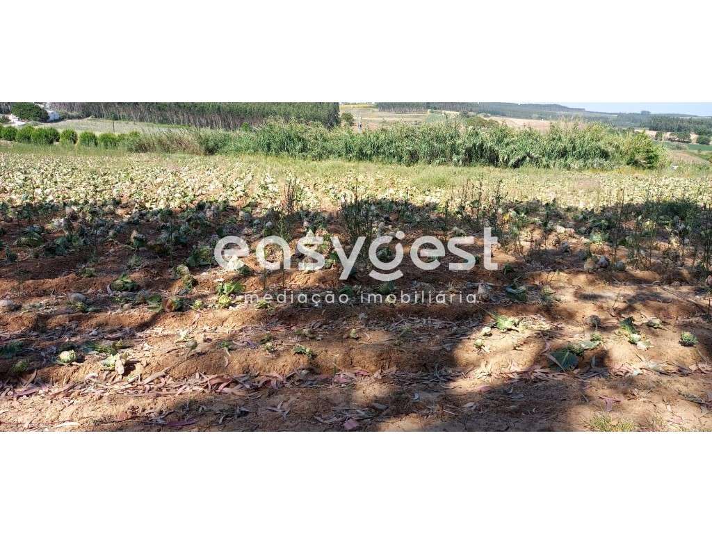 Excelente Terreno Rústico no Lugar da Formiga com 4120m2 - Grande imagem: 5/6