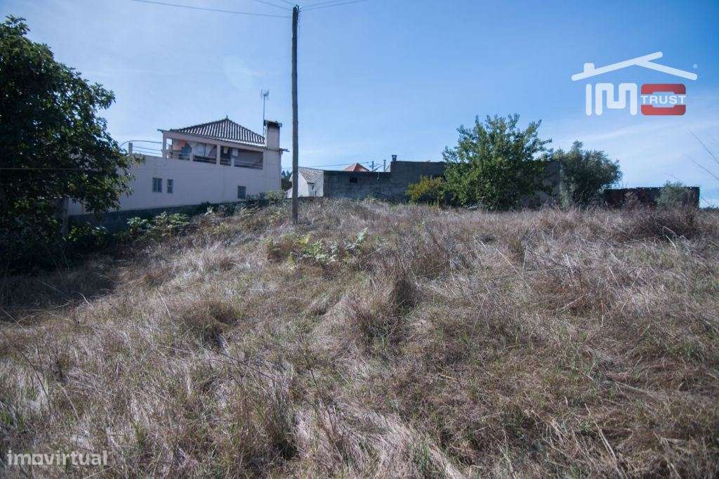 Terreno para construção centro de Albergaria dos Doze - Grande imagem: 4/8