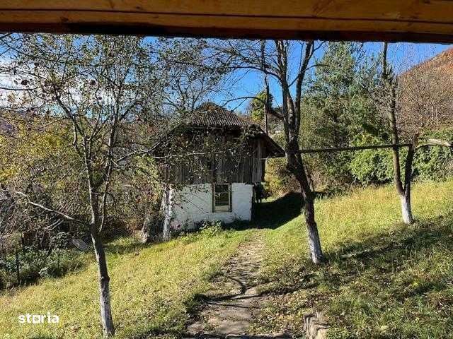 Vand casa cu dependinte si livada in comuna Gura Teghii - Imagine principală: 4/8