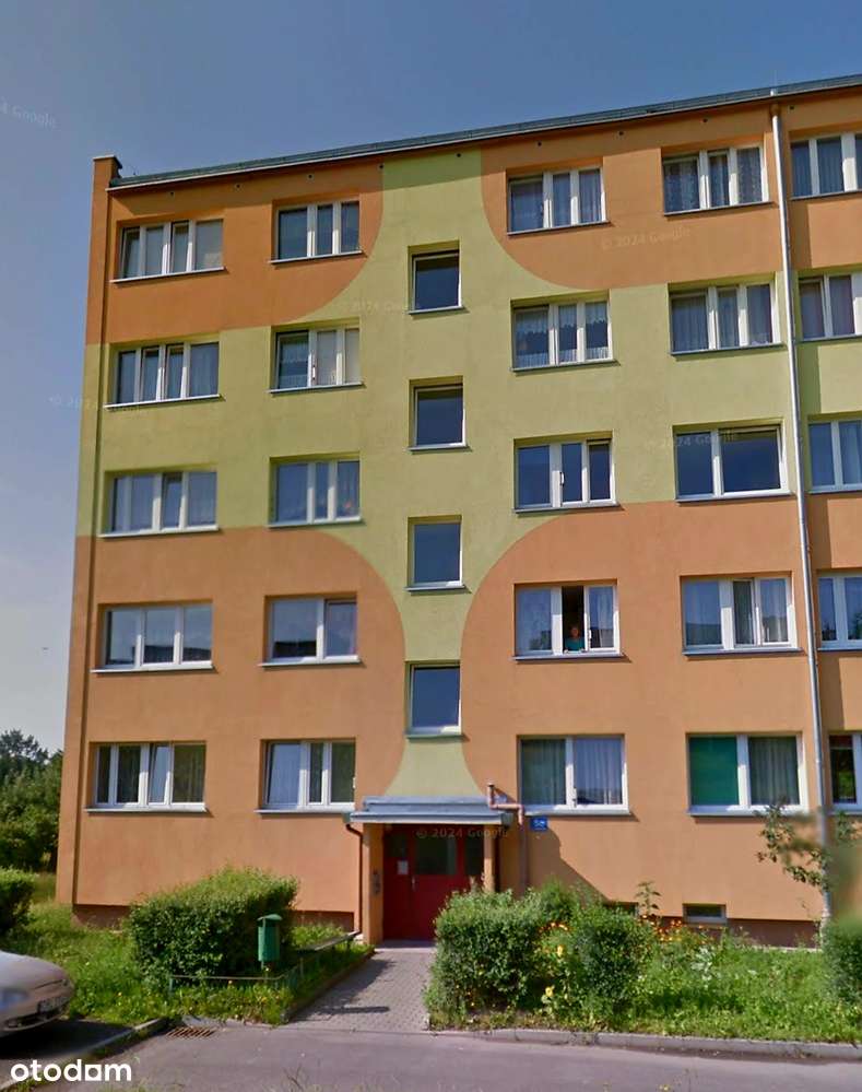 3 pokojowe mieszkanie z ogródkiem! - Pełny obrazek: 5/13