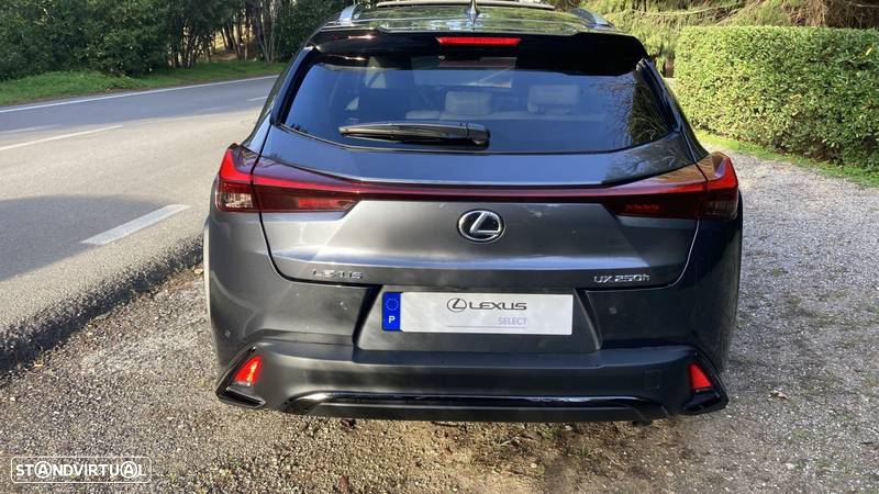 Lexus UX 250h Sport - 5