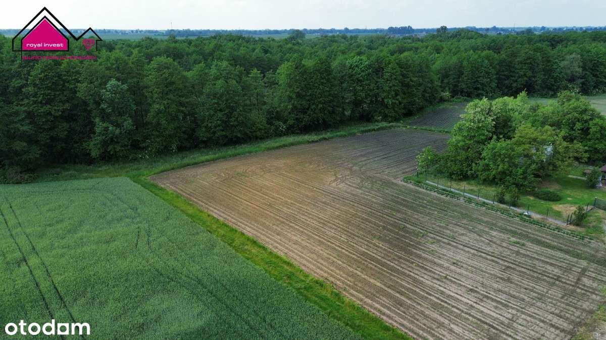 Nowa cena! Działki 1000m2/Dobrosołowo/stawy, - Pełny obrazek: 5/7