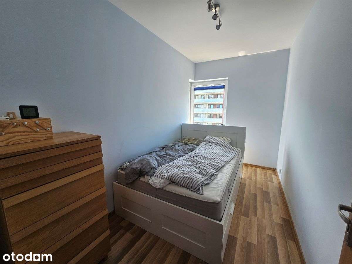 Do wprowadzenia Nowe Sady - Pełny obrazek: 4/9