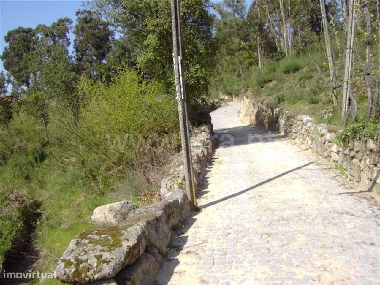 Terreno para construção com 9.570 m2 em Mondim de Basto - Grande imagem: 4/12