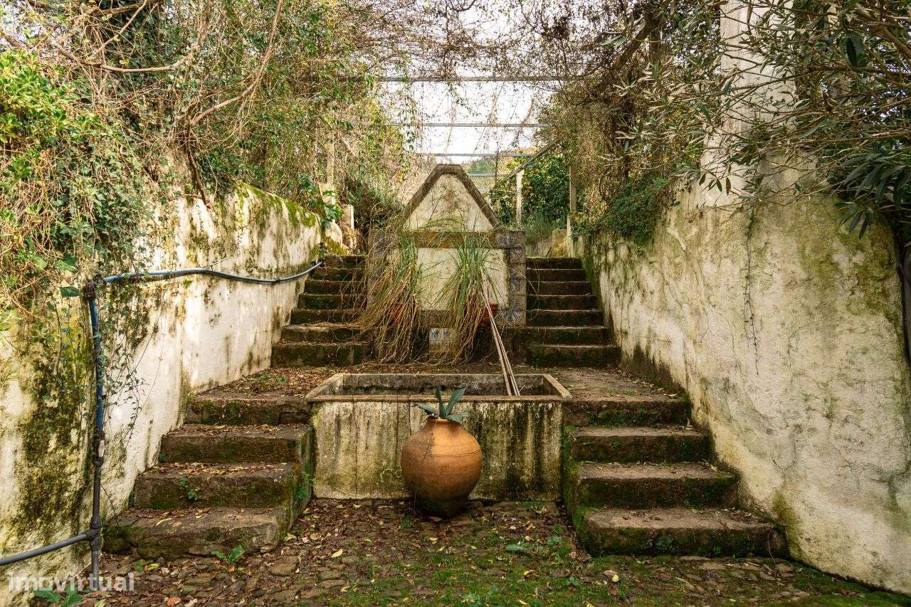 Casa senhorial, totalmente recuperada, em Cernache do Bonjardim-52