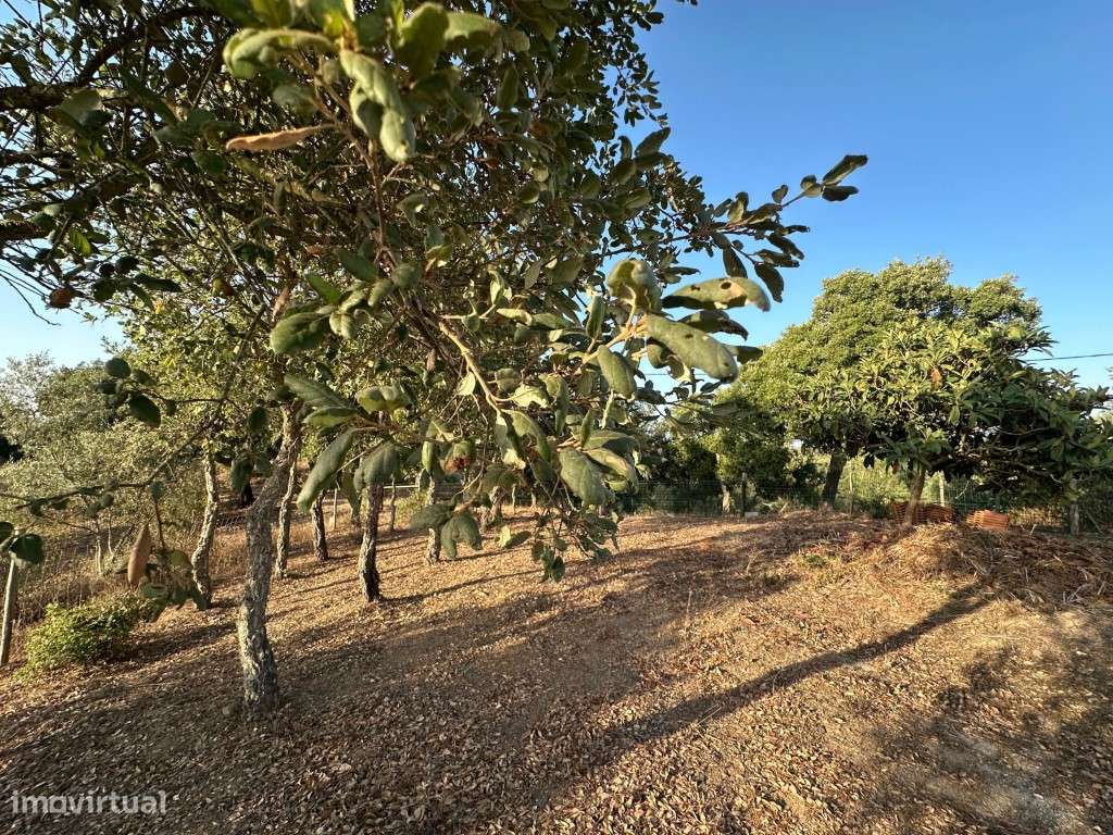 Monte Alentejano com 3,4 ha de natureza e potencial turístico-42
