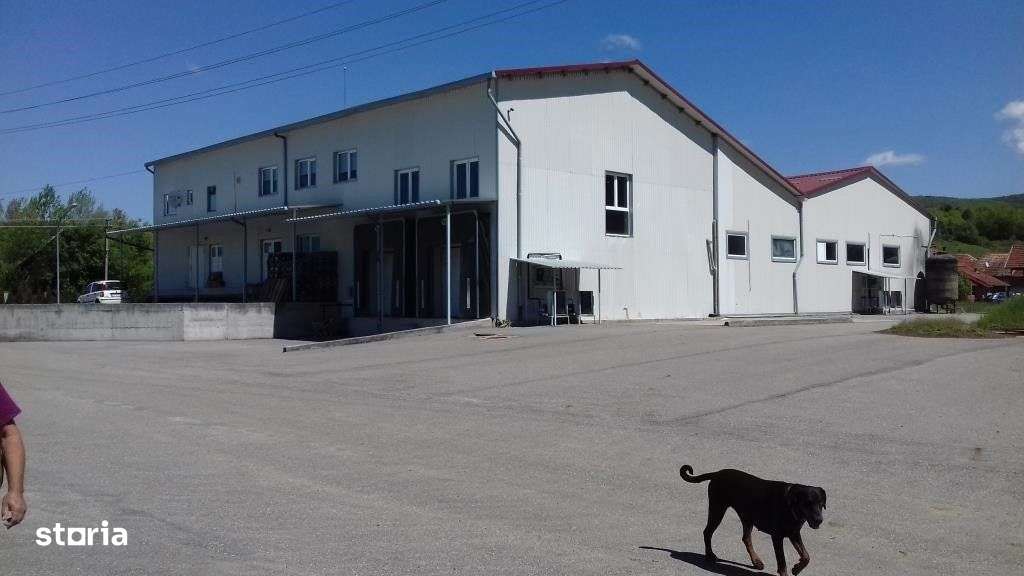 Fabrica de lapte - 2.011 mp + Teren 6.000 mp - Imagine principală: 4/6
