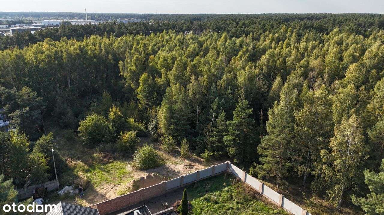 Piękna działka przy lesie ✨Pnb na willę-3