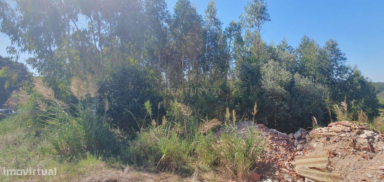 Terreno á Venda Maiorga, Alcobaça - Grande imagem: 5/6