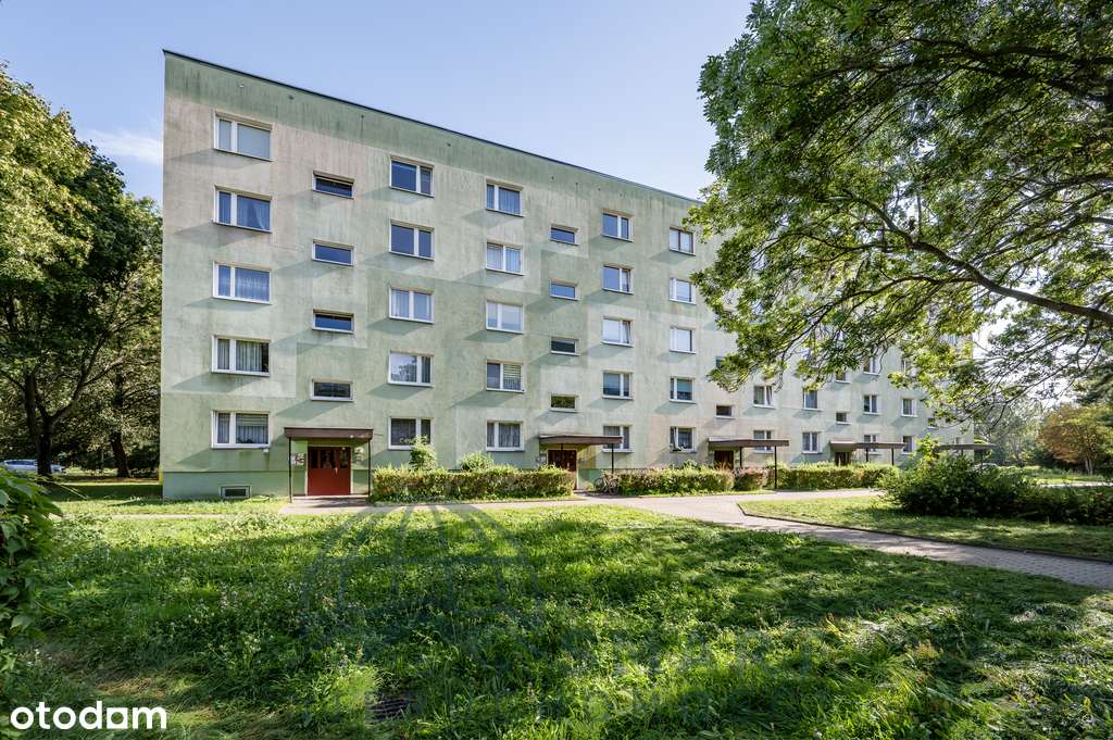 Przestronna Kawalerka 37,86 m2 z klimatyzacją !!!-13