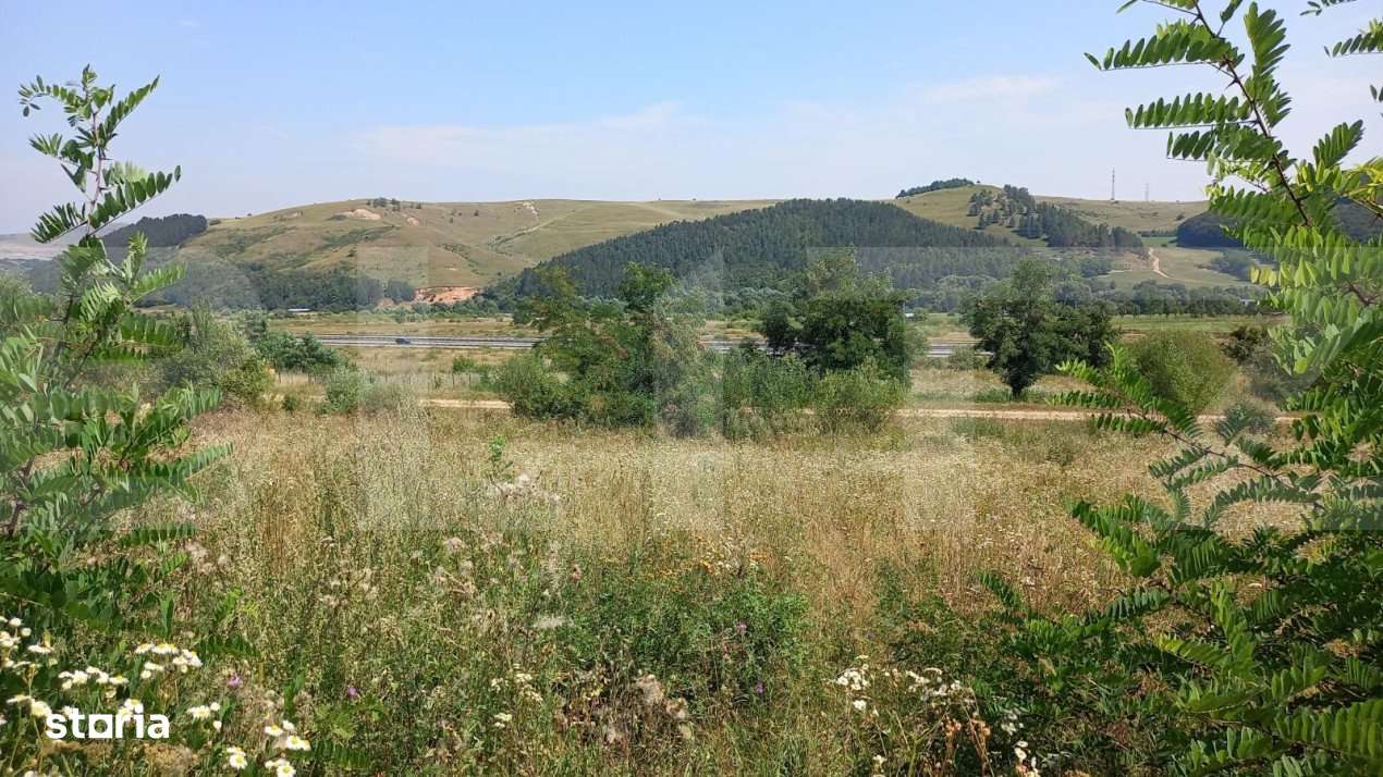 Vand teren extravilan in Stolna suprafata 2550 mp, front 37 utilitati - Imagine principală: 3/3