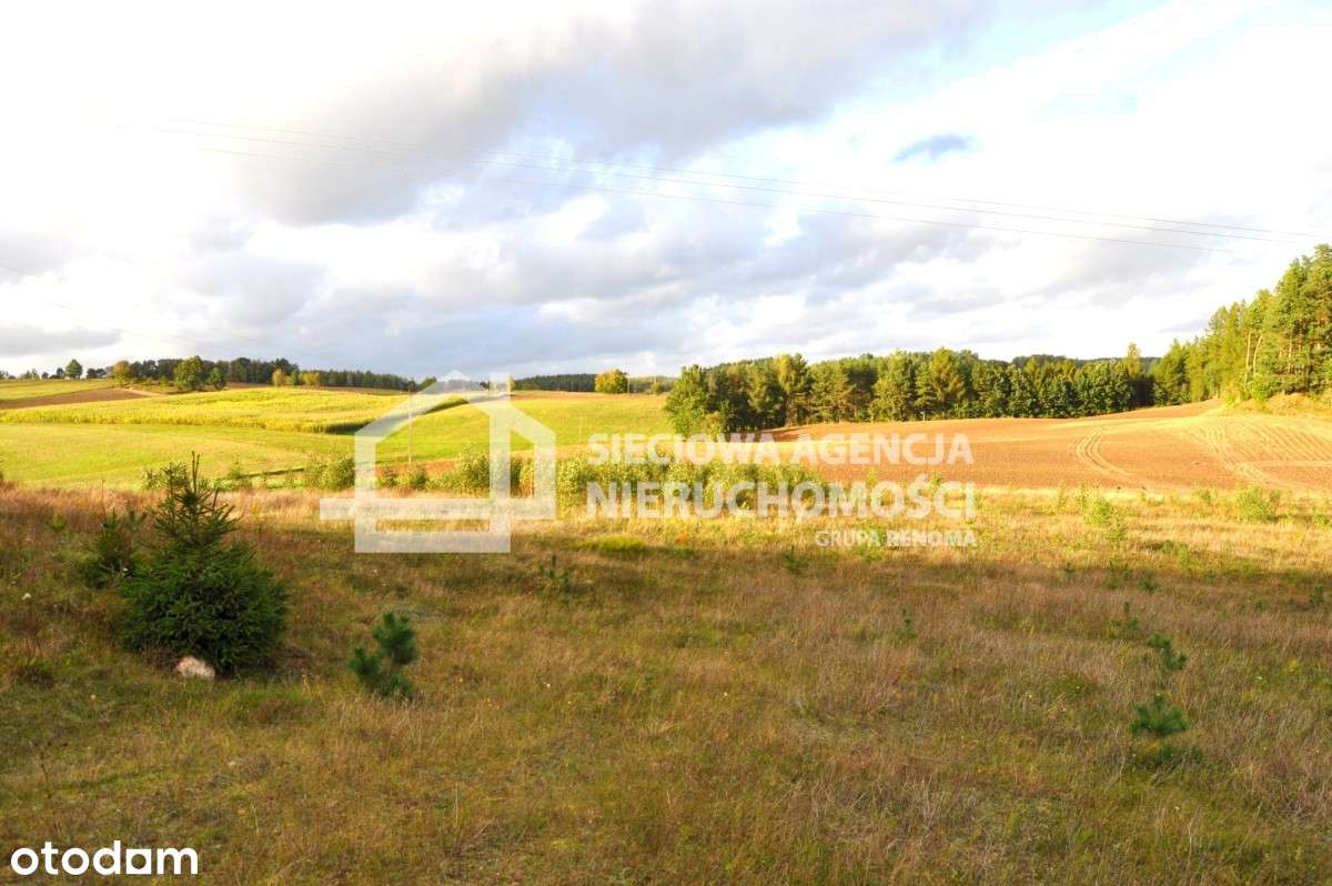 Piękna tania działka na Kaszubach - Pełny obrazek: 4/20