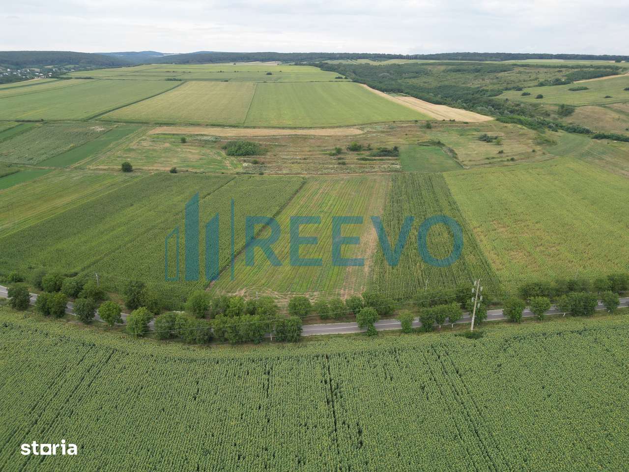 Teren de 4.400 mp Racova - Imagine principală: 5/7