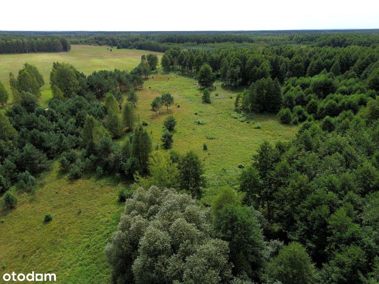 Kompleks działek w Rekownicy - Pełny obrazek: 4/16