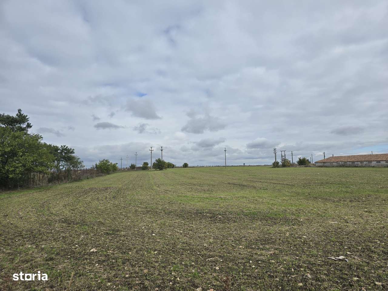 Comuna Amzacea- sat G.Scărișoreanu -Fermă zootehnică ,  teren 5,1ha-5