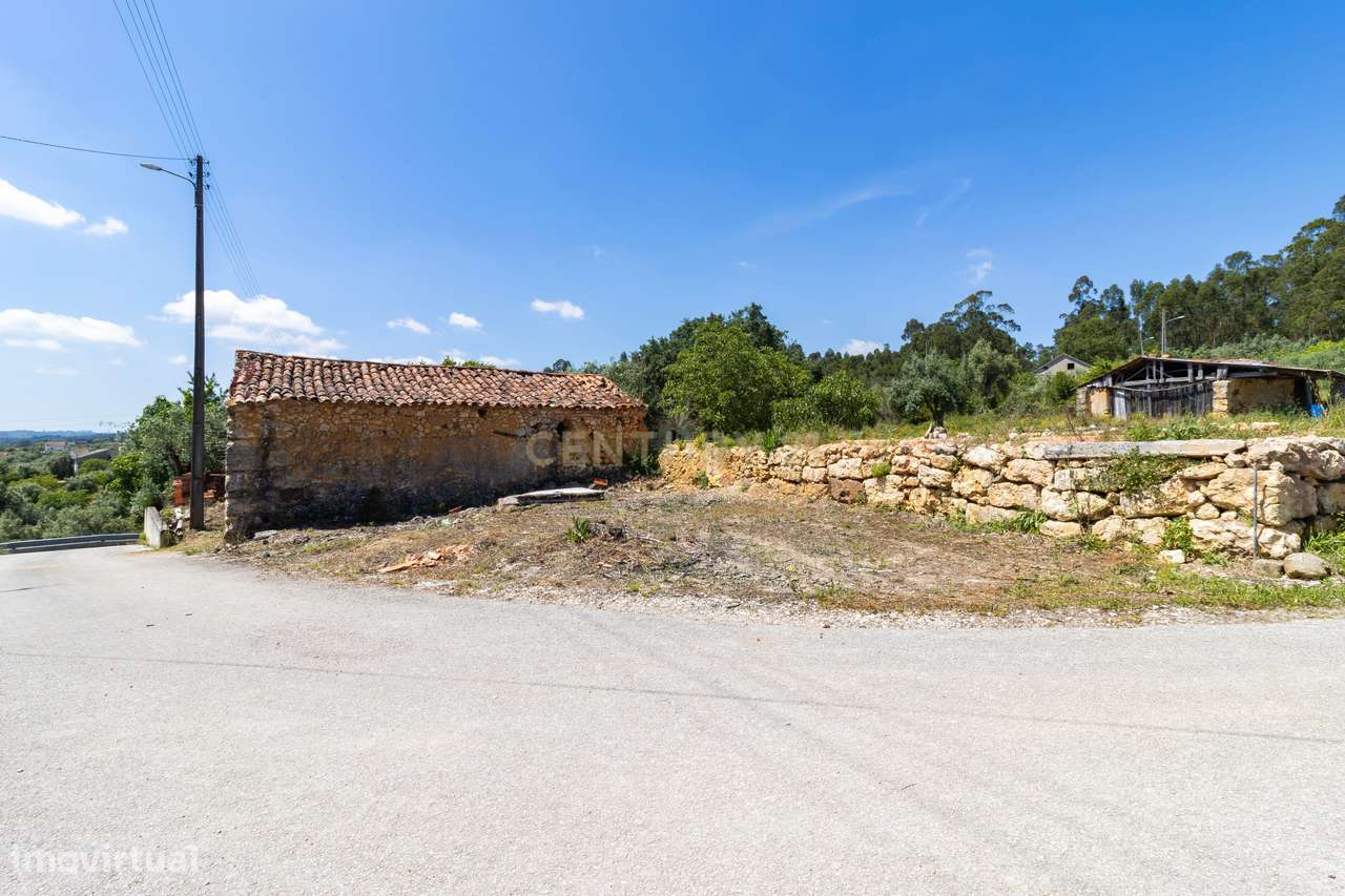 Terreno com ruina de arrumos Casais da Abadia ,Caxarias com Árvores Fr - Grande imagem: 3/8
