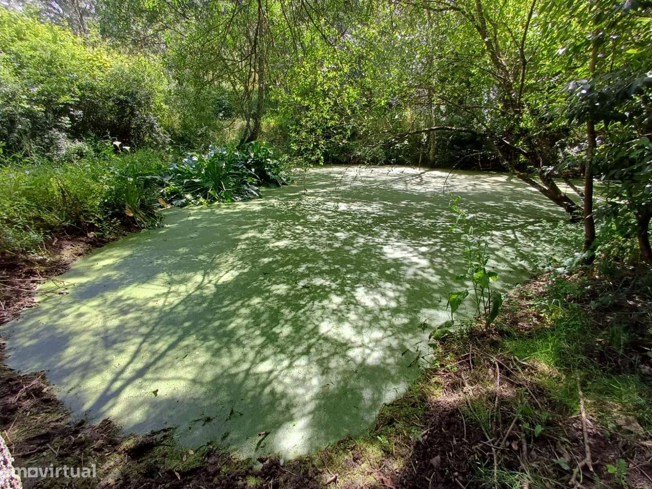Quinta T2 Venda em Melo e Nabais,Gouveia-42
