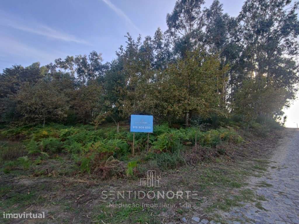 Terreno Rústico para construção habitacional-6