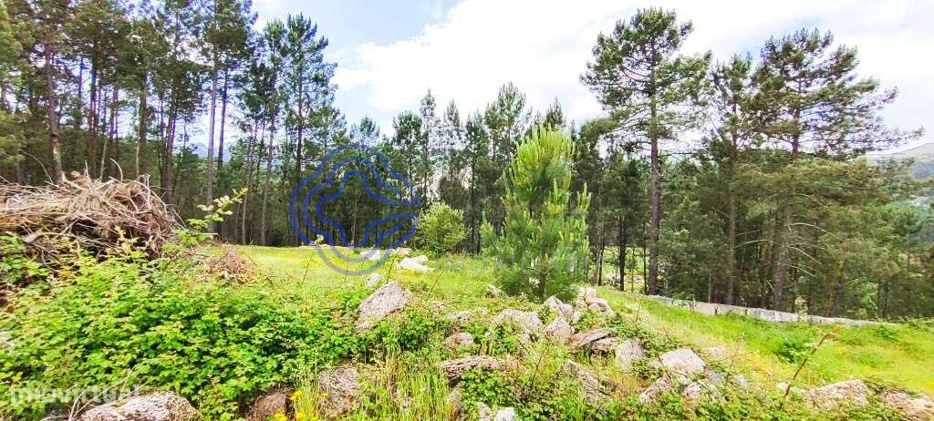 Terreno de 2545 m2   | Com Ruina Moradia T2 e Anexo | Gondomil e Saf - Grande imagem: 5/44