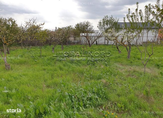 Valu lui Traian - Str. Tudor Arghezi nr. 5, teren intravilan 2.912 mp-16