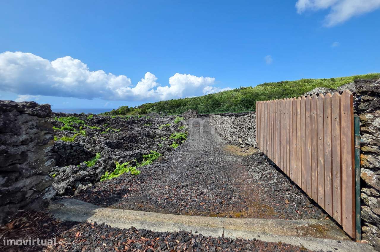 Terreno Rústico com vinha na Madalena, na Ilha do Pico - Grande imagem: 2/26