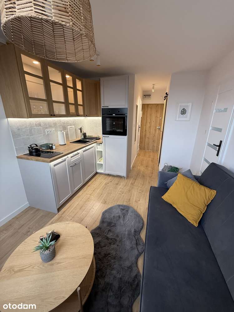 Przestronne 2- pokojowe Uniwersytet Ekonomiczny - Pełny obrazek: 2/9