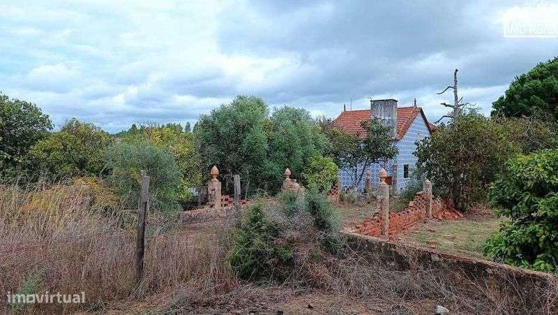 Quinta em Santarém (16,165HA) - Grande imagem: 5/10