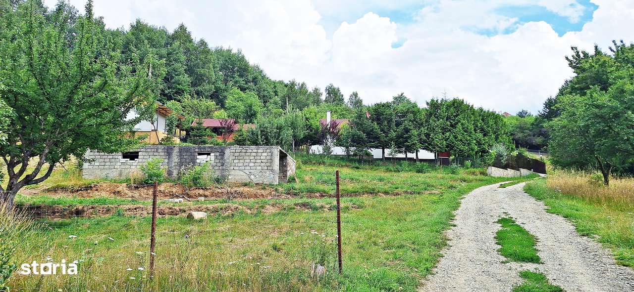 Bran- Predelut, 1000mp teren pentru casa de vacanta, pret 45 euro/mp - Imagine principală: 4/15