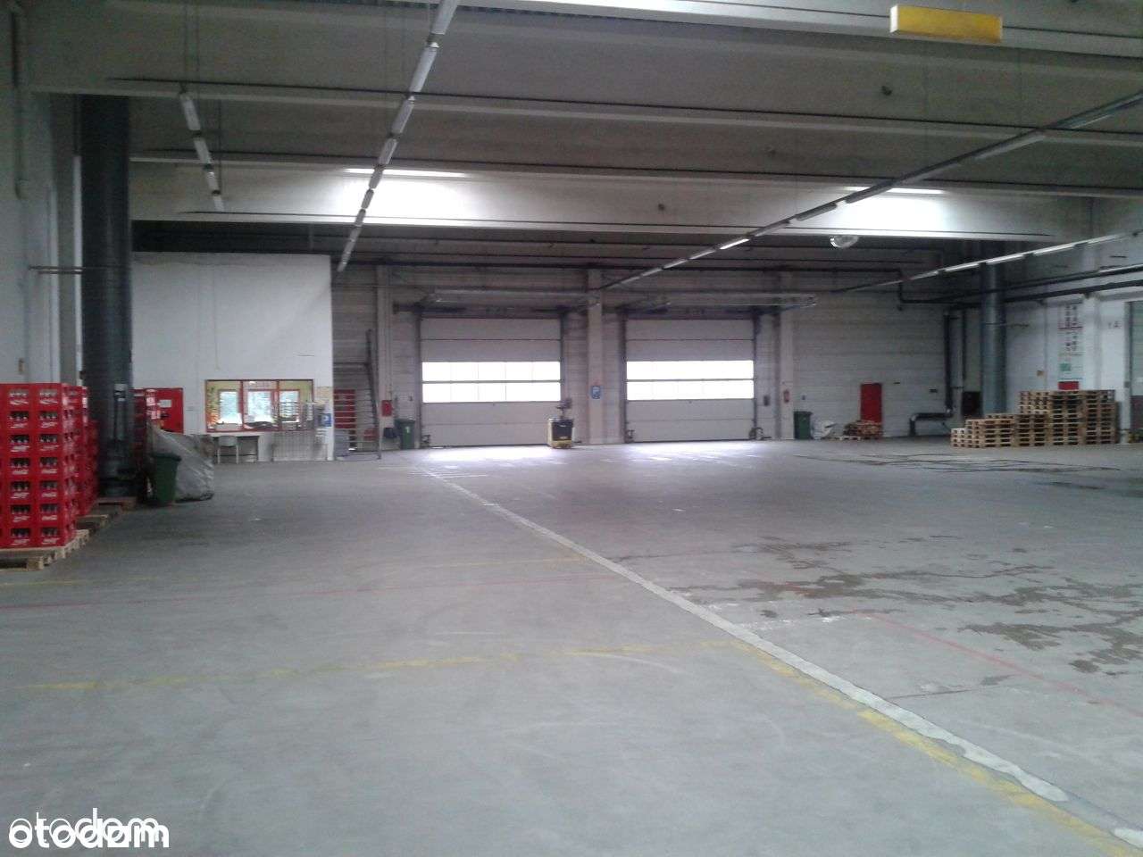 Hala Produkcyjno- Magazynowa WYSOKI STANDARD! - Pełny obrazek: 5/20