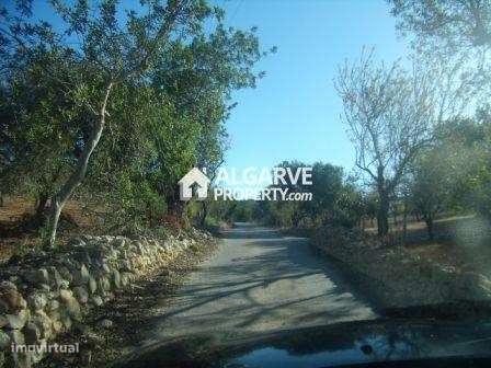 Lote de terreno com vista panorâmica de campo e projeto aprovado em Tu - Grande imagem: 2/11