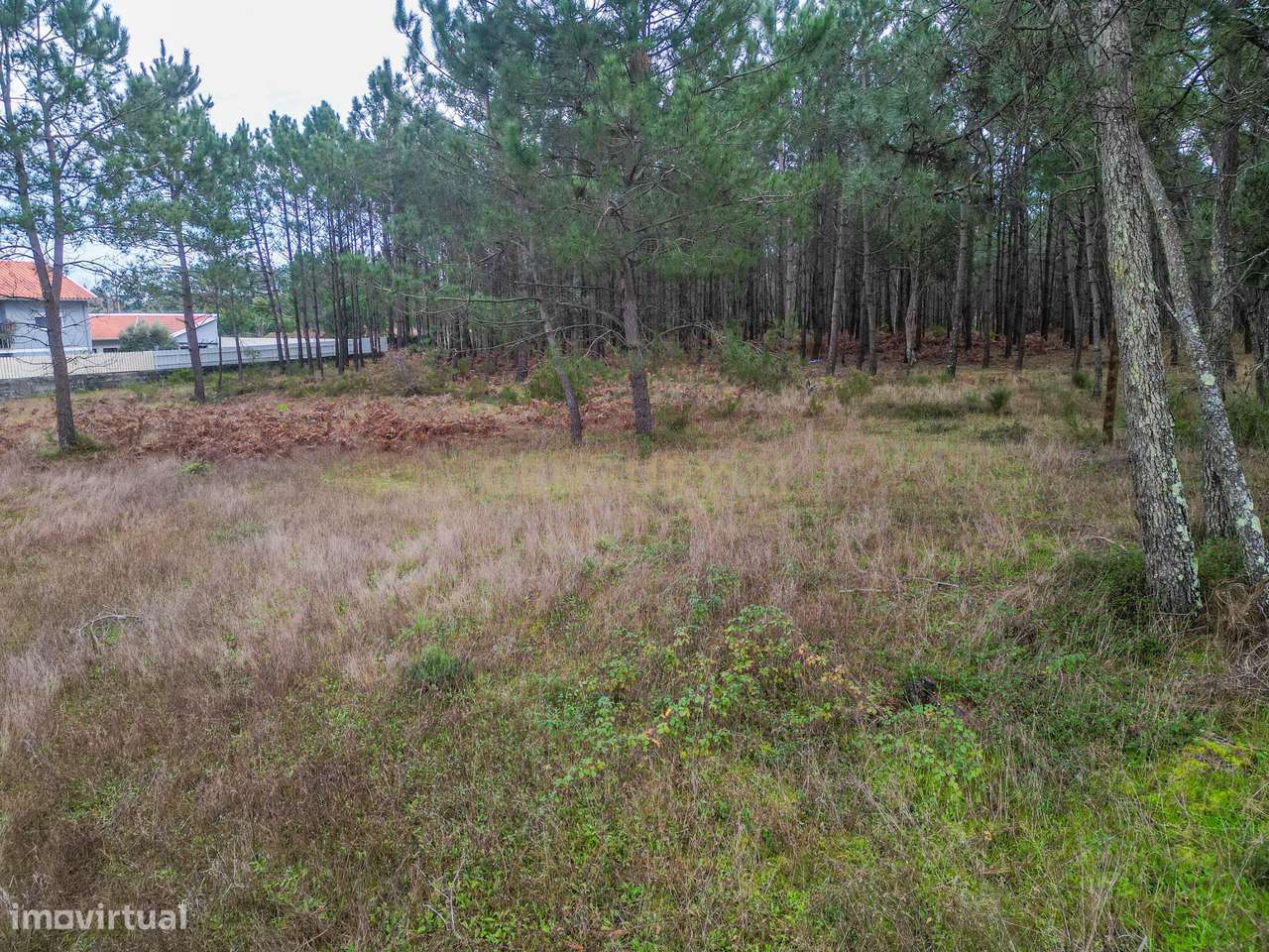 Terreno Misto com Potencial Construtivo em Moinhos da Gândara – Figuei-17