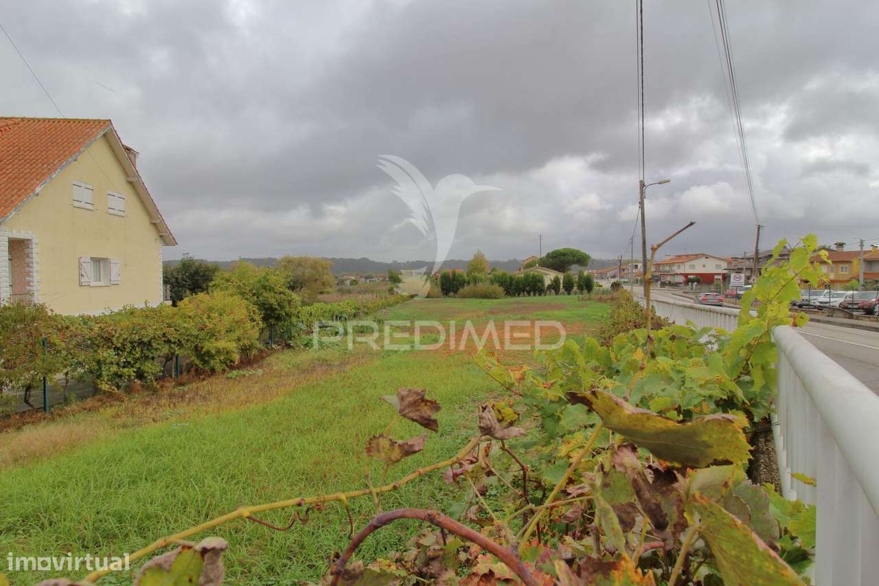 Terreno com 30 metros de frente para construção de moradia em Oiã - Grande imagem: 4/10