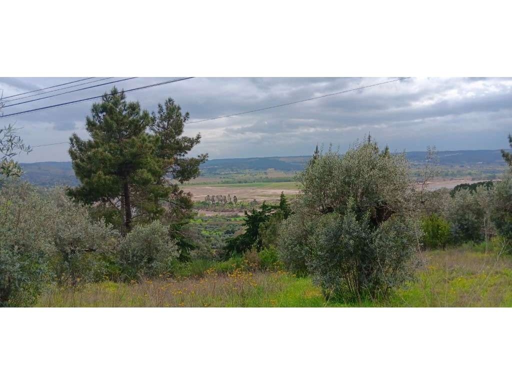 Terreno Rústico com Potencial de Construção I Vista para o Rio - 5.... - Grande imagem: 4/13